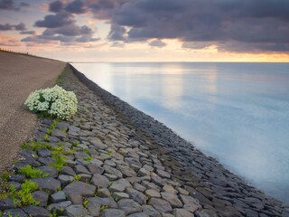 Bungalow De Koog Omgeving 16
