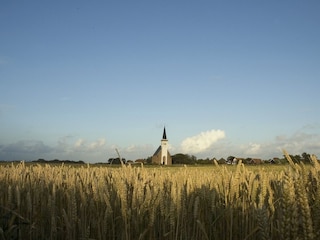 Bungalow De Koog Omgeving 17