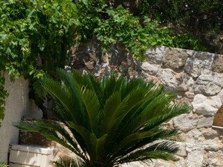 Apartment Ruskamen  5