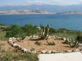 Apartment Pag (Stadt)  7