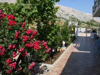 Apartment Pag (Stadt)  11