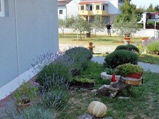 Apartment Seline  10