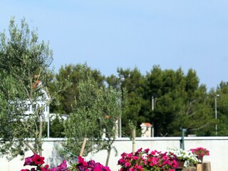 Apartment Seline  11