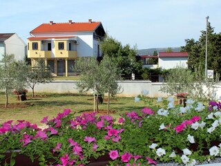 Apartment Seline  23