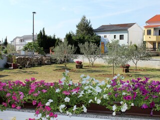 Apartment Seline  24