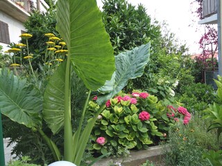 Apartment Podgora  13