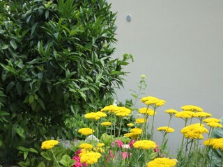 Apartment Podgora  14