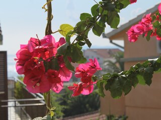 Apartment Podgora  32