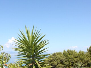 Apartment Podgora  7