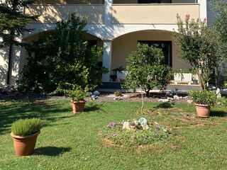 Apartment Ližnjan  17