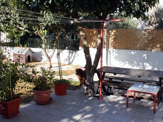 Apartment Ližnjan  19