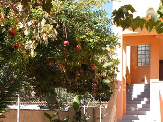 Apartment Ližnjan  5