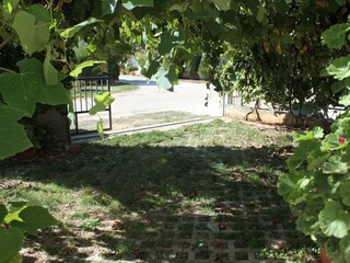 Apartment Valbandon  6