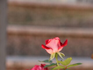 Apartment Ičići  12