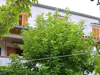 Apartment Nerezine  3