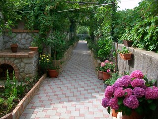 Apartment Nerezine  5