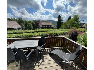 Ferienhaus Hahnenklee Außenaufnahme 3