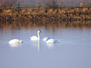 Vakantiepark Lido di Spina  34