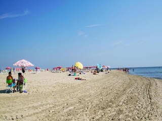 Holiday park Lido di Spina Environment 23