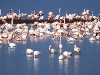 Parque de vacaciones Lido di Spina Entorno 24