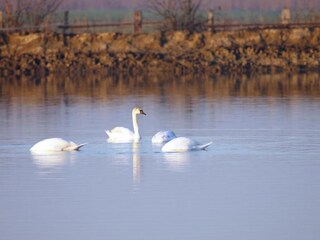 Parque de vacaciones Lido di Spina  40