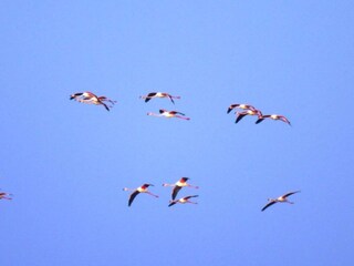 Parc de vacances Lido di Spina Environnement 26