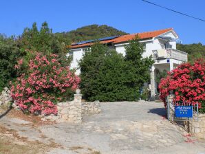 Apartment Studio flat with terrace and sea view Preko, Ugljan AS-8224-b