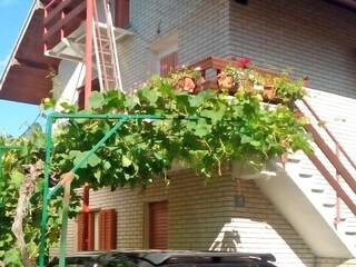 Apartment Zaboric  9