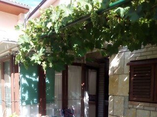 Apartment Zaboric  3