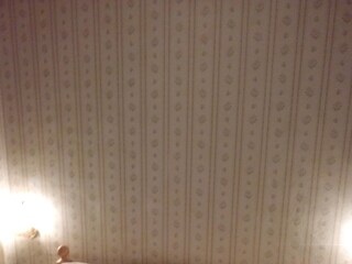 Apartment Zaboric  13