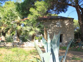 Apartment Vis (Stadt)  5