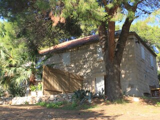 Apartment Vis (Stadt)  6