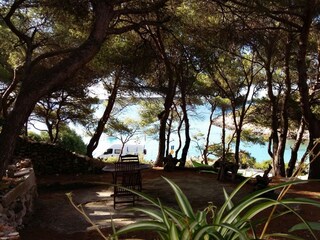 Apartment Vis (Stadt)  21