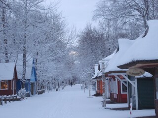 Appartamento per vacanze Prerow Ambiente 17