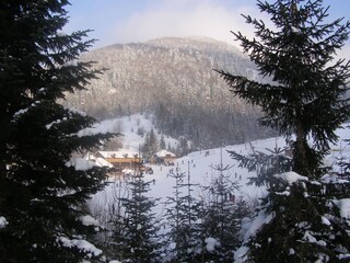 Casa per le vacanze Kolašin Ambiente 22