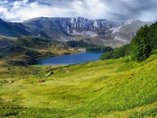 Maison de vacances Kolašin Environnement 23