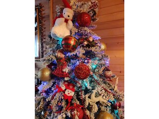 Casa per le vacanze Kolašin Caratteristiche 6