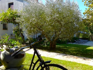 Apartamento de vacaciones Porec Entorno 31