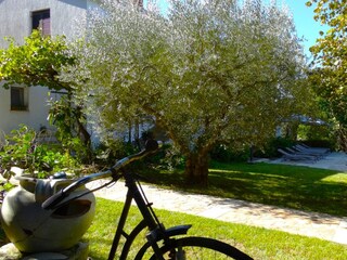 Appartamento per vacanze Porec Registrazione all'aperto 21