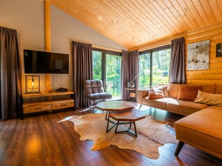 Chalet Ruinen Features 2