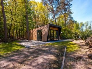 Chalet Ruinen Outdoor Recording 2