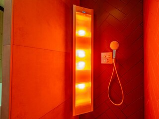 Chalet Ruinen Features 15