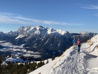 Chalet Haus im Ennstal Features 20