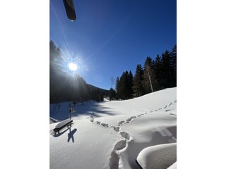 Chalet Haus im Ennstal Features 23