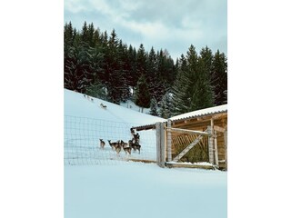 Chalet Haus im Ennstal Features 27