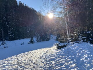 Chalet Haus im Ennstal Caratteristiche 28