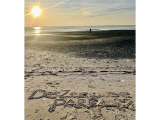 Chalet Scherpenisse  14