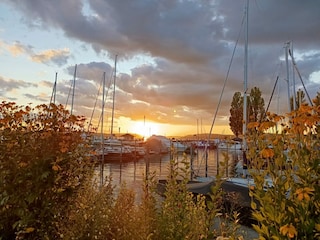 Herbst am Bodensee