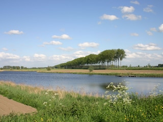 Wandern in die Entgegung
