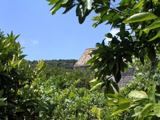 Ferienzimmer Zaton bei Dubrovnik  21